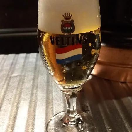Panzió Feische