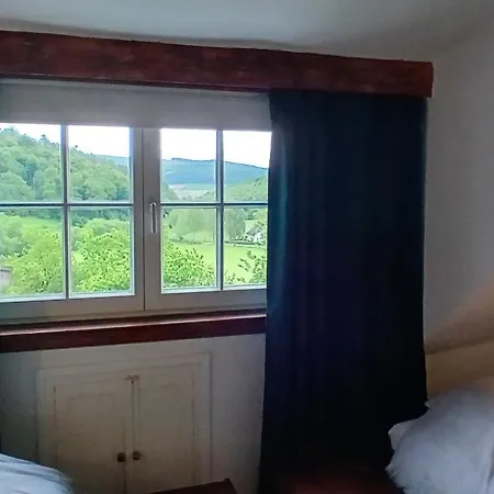 Panzió Feische *