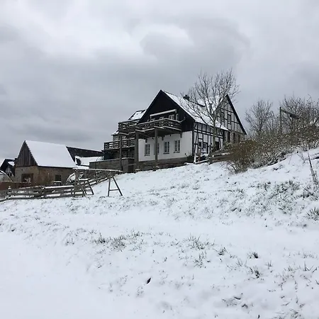 Feische