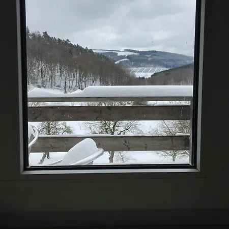 Feische Panzió *