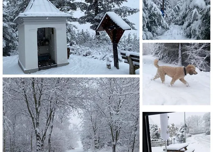 Feische Bed & Breakfast